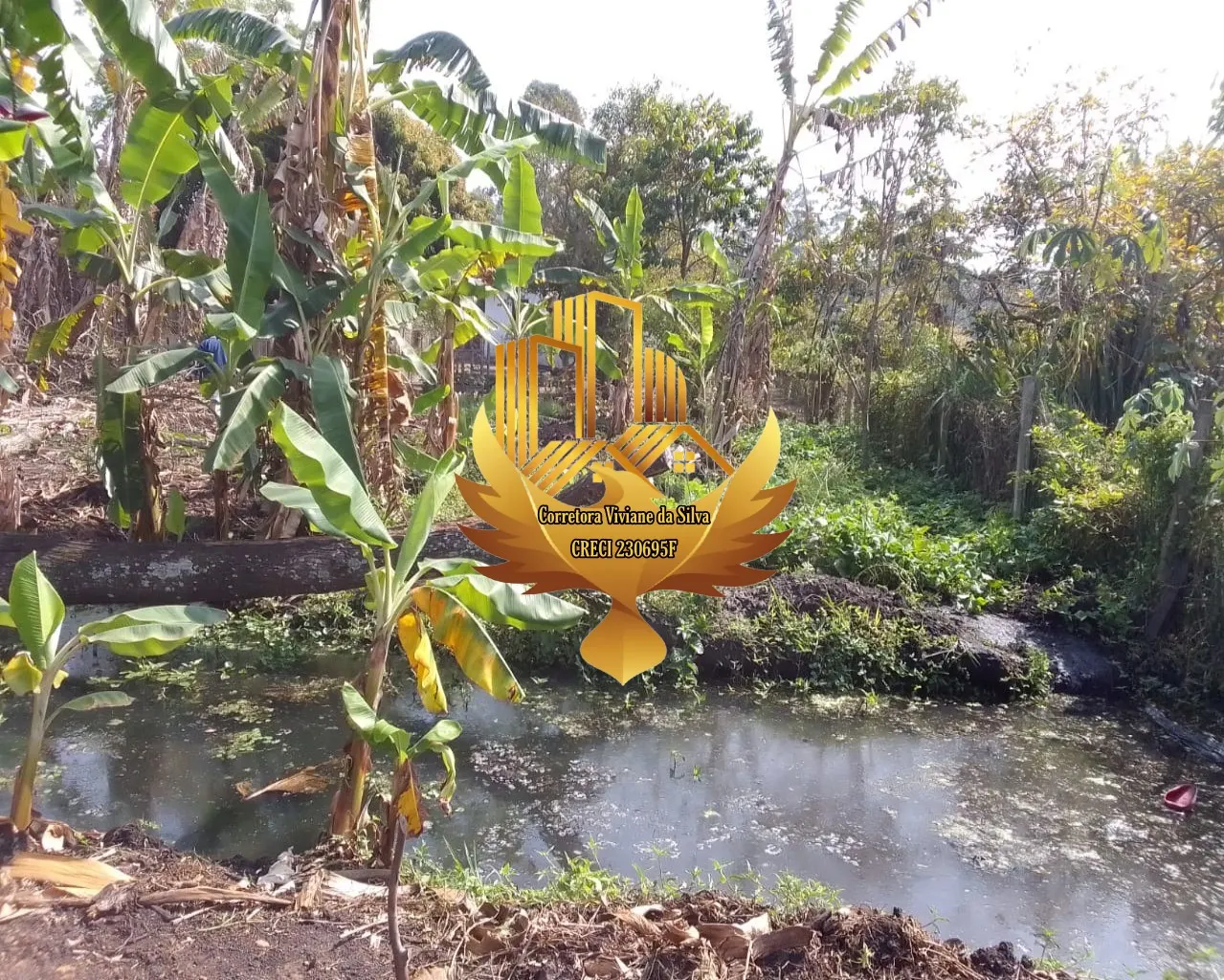 Chácara à venda de 1.500 m² em Caçapava, SP, Brasil