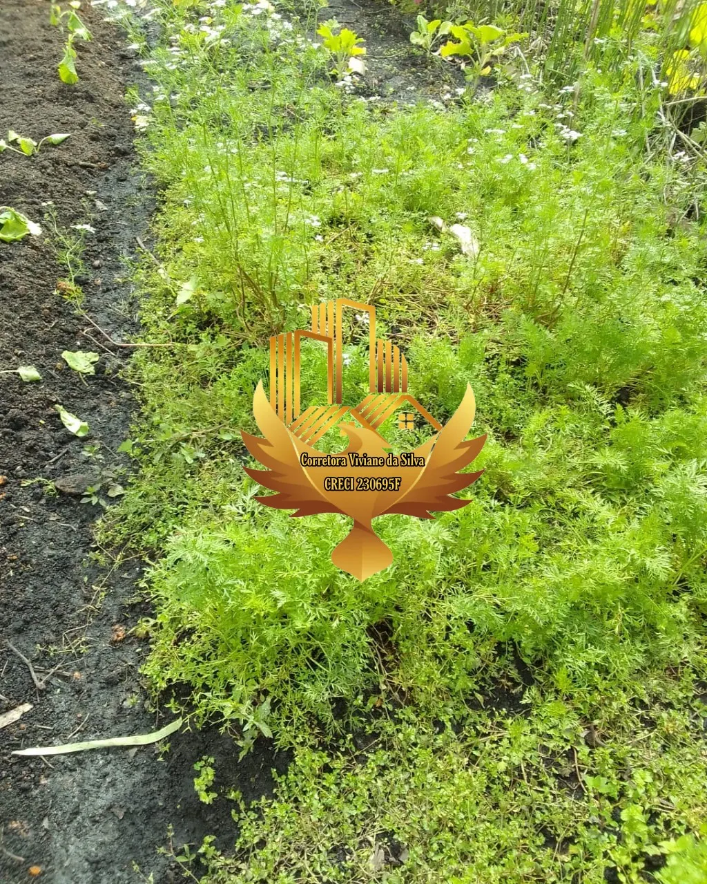 Chácara à venda de 1.500 m² em Caçapava, SP, Brasil