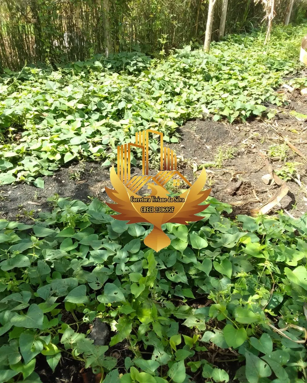 Chácara à venda de 1.500 m² em Caçapava, SP, Brasil