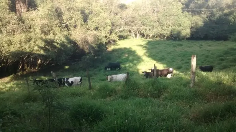 Chácara à venda de 2 ha em Pedra Bela, SP, Brasil