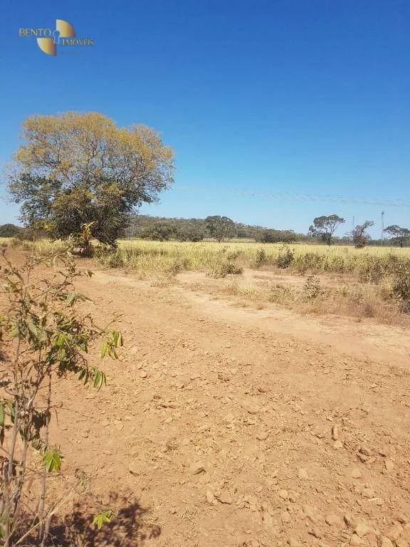 Fazenda à venda de 4.000 ha em Santo Antônio do Leverger, MT, Brasil