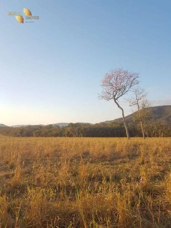 Fazenda à venda de 4.000 ha em Santo Antônio do Leverger, MT, Brasil