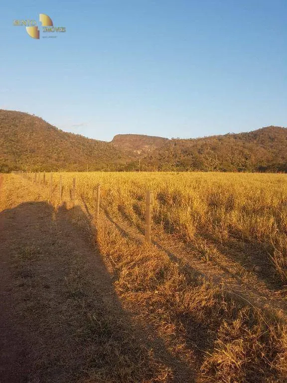 Fazenda à venda de 4.000 ha em Santo Antônio do Leverger, MT, Brasil