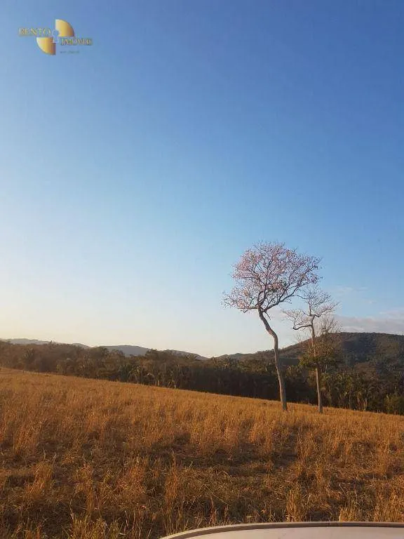Fazenda à venda de 4.000 ha em Santo Antônio do Leverger, MT, Brasil