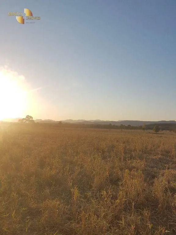 Fazenda à venda de 4.000 ha em Santo Antônio do Leverger, MT, Brasil