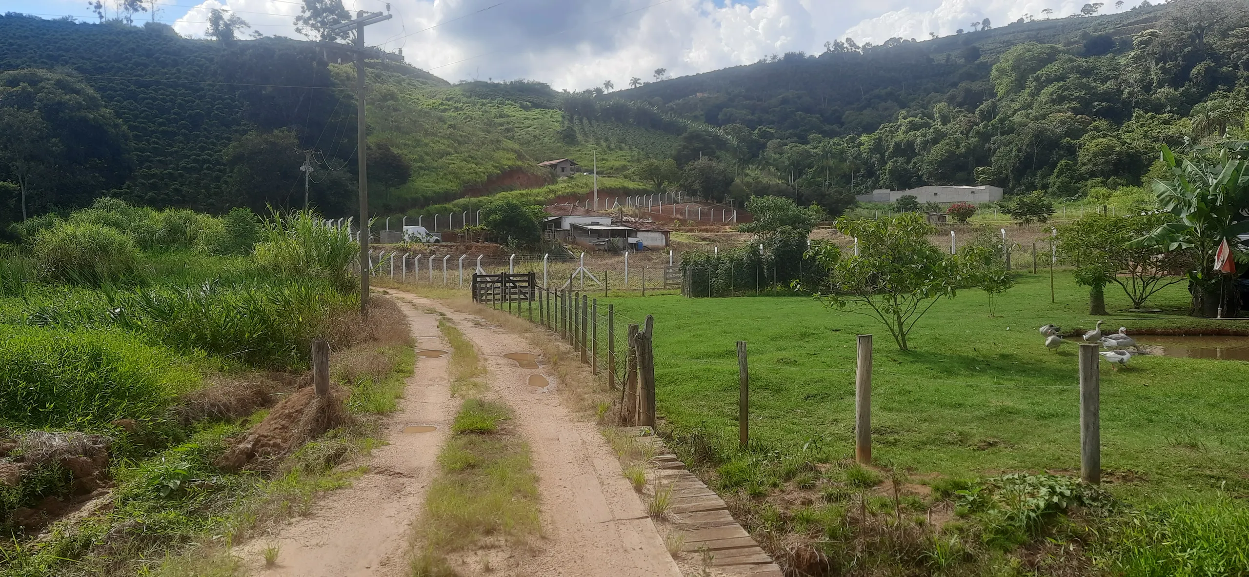 Small farm for sale of 7 acres in Guaxupé, MG, Brazil
