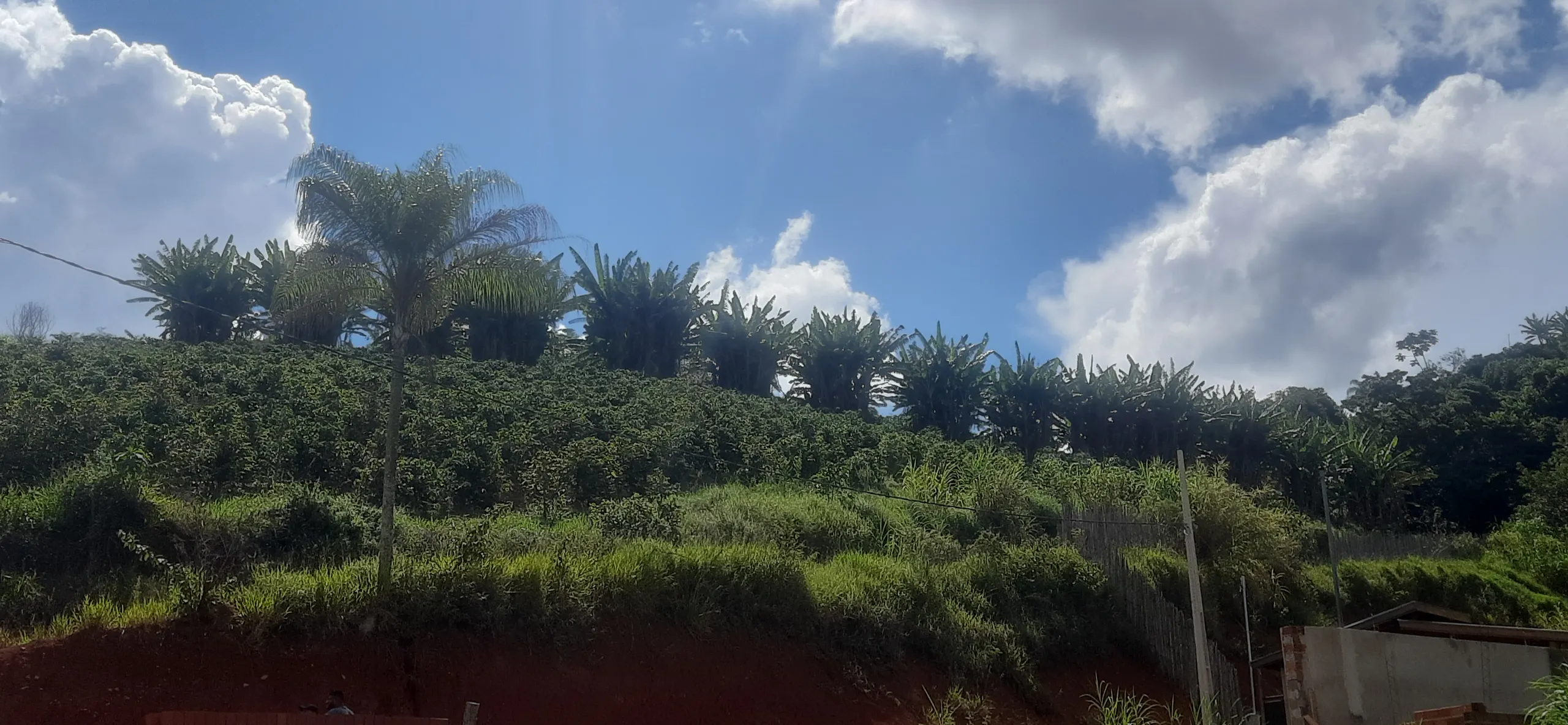 Small farm for sale of 7 acres in Guaxupé, MG, Brazil