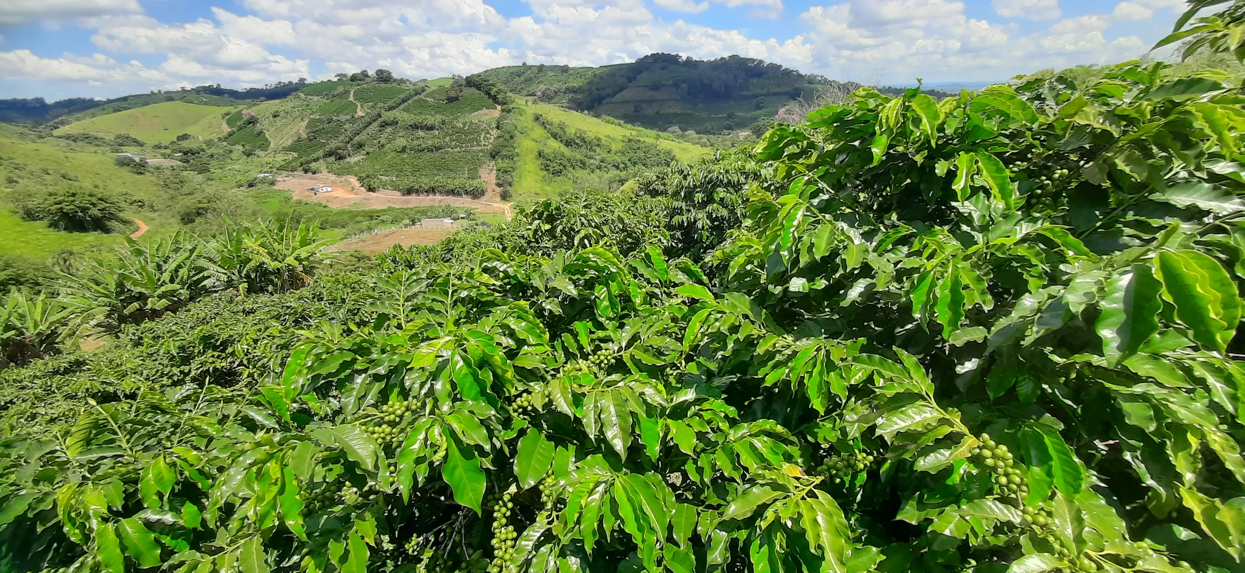 Small farm for sale of 7 acres in Guaxupé, MG, Brazil