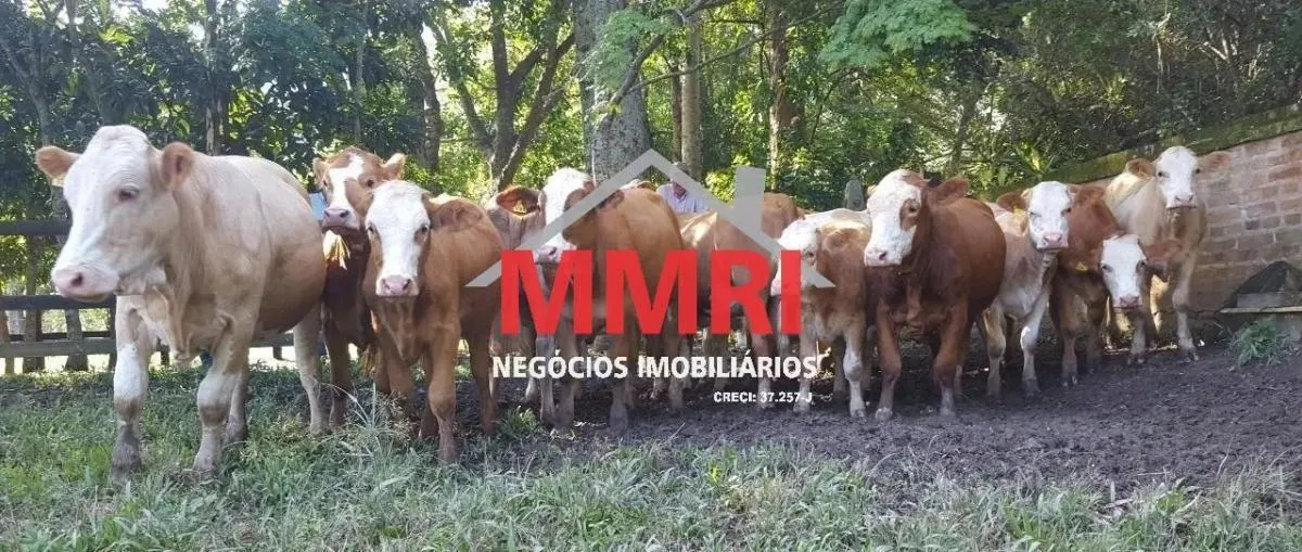 Fazenda à venda de 453 ha em São José dos Campos, SP, Brasil