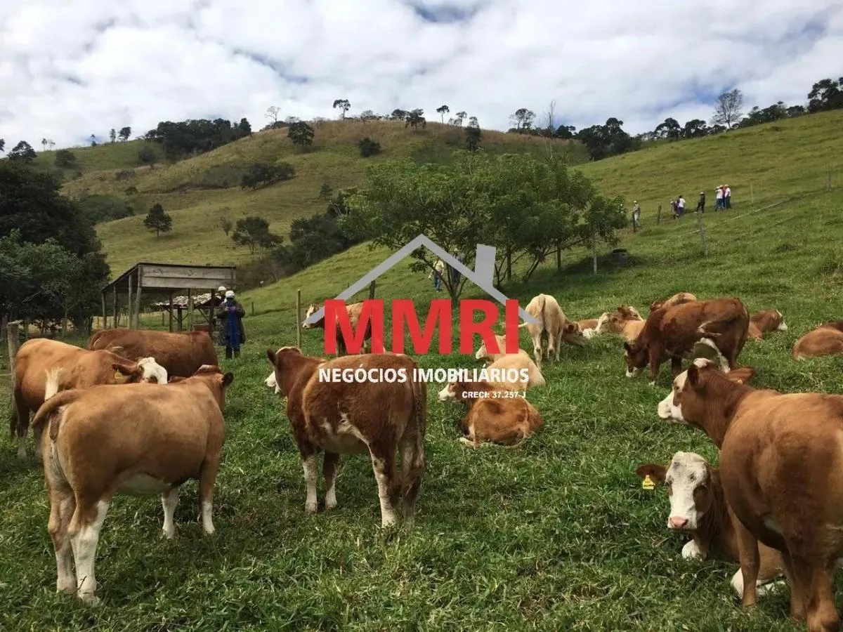 Fazenda à venda de 453 ha em São José dos Campos, SP, Brasil
