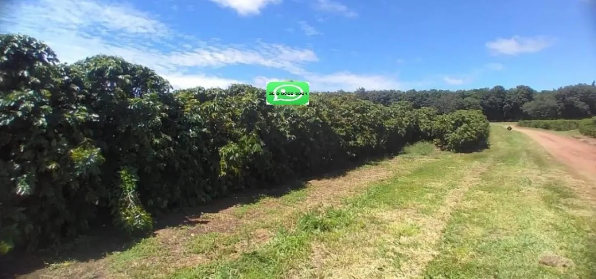 Fazenda à venda de 277 ha em Garça, SP, Brasil