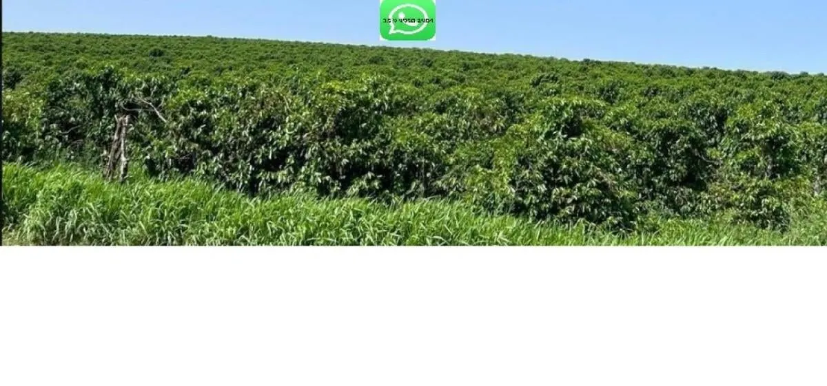 Fazenda à venda de 277 ha em Garça, SP, Brasil