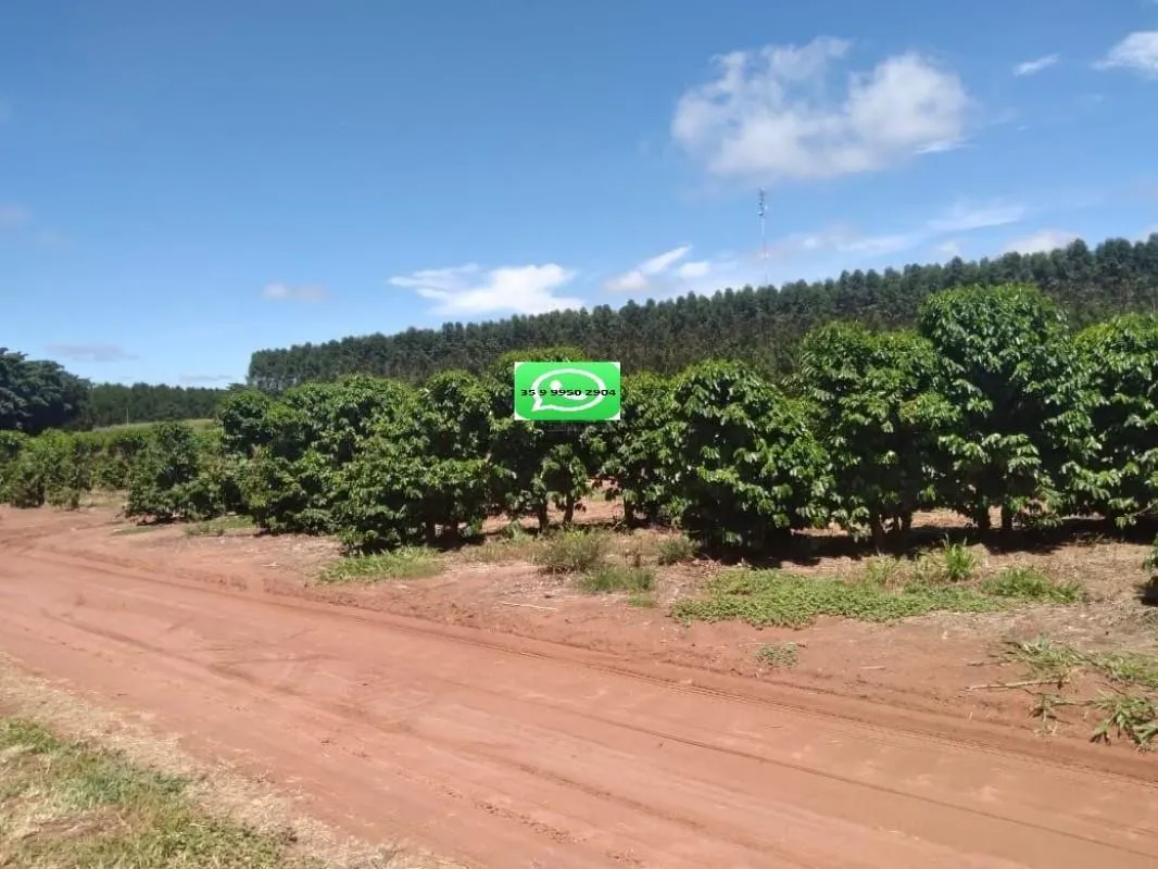 Fazenda à venda de 277 ha em Garça, SP, Brasil