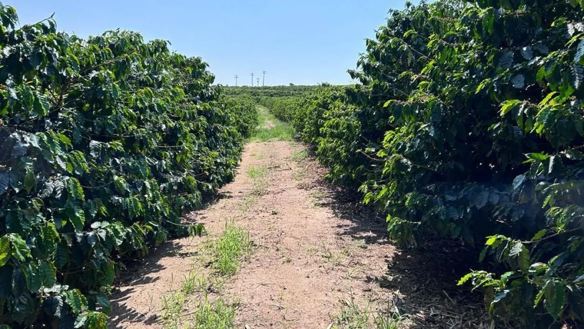 Fazenda à venda de 277 ha em Garça, SP, Brasil