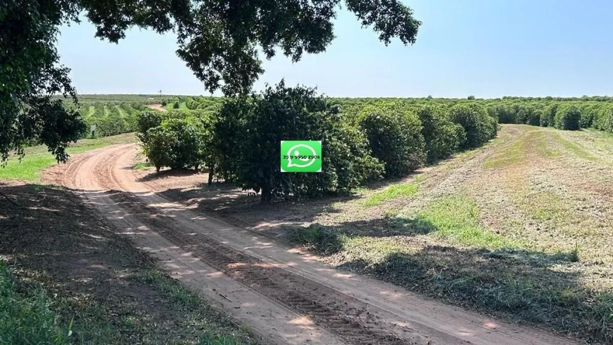 Fazenda à venda de 277 ha em Garça, SP, Brasil