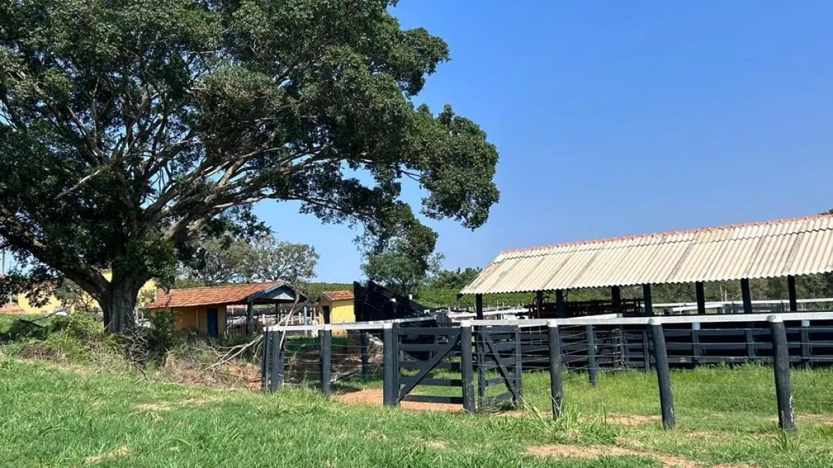 Fazenda à venda de 277 ha em Garça, SP, Brasil