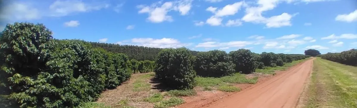 Fazenda à venda de 277 ha em Garça, SP, Brasil