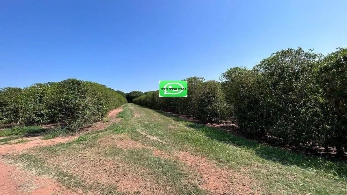 Fazenda à venda de 277 ha em Garça, SP, Brasil