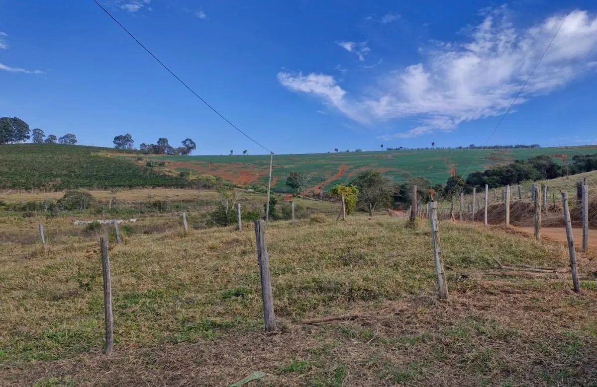 Fazenda à venda de 206 ha em Divinolândia, SP, Brasil