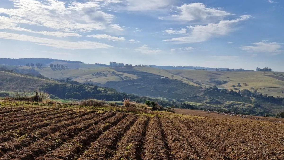 Fazenda à venda de 206 ha em Divinolândia, SP, Brasil