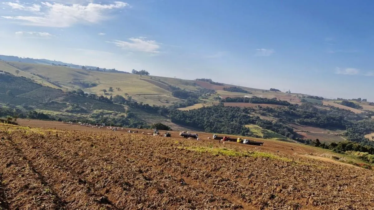 Fazenda à venda de 206 ha em Divinolândia, SP, Brasil