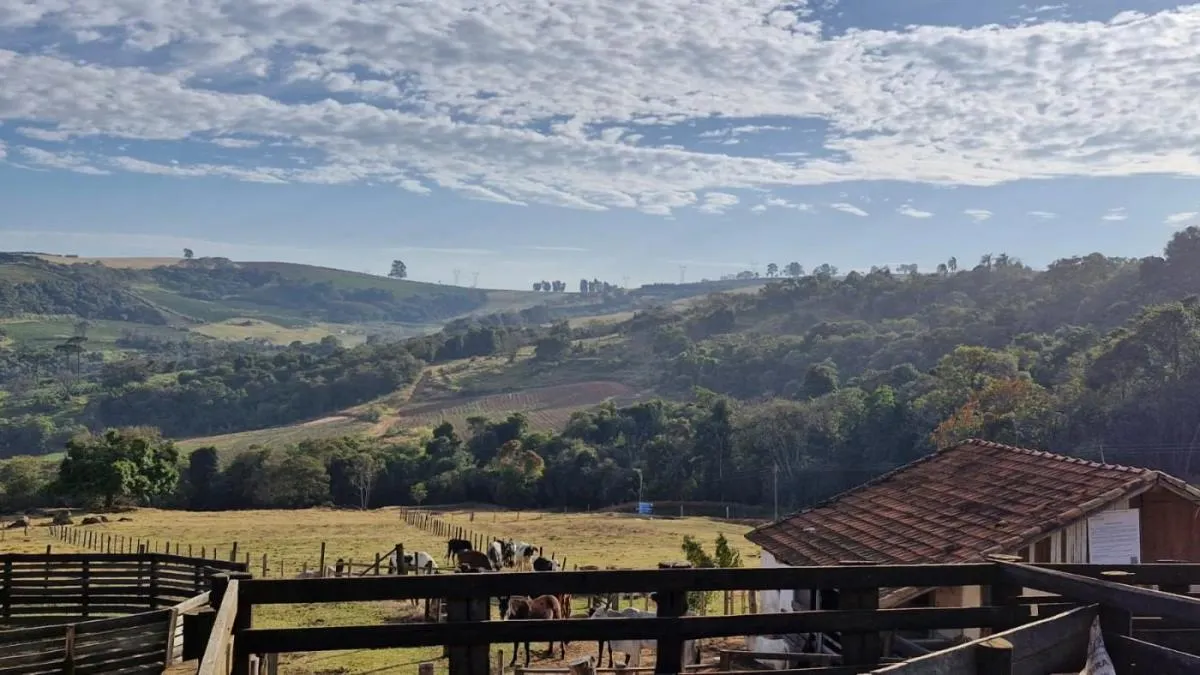 Fazenda à venda de 206 ha em Divinolândia, SP, Brasil