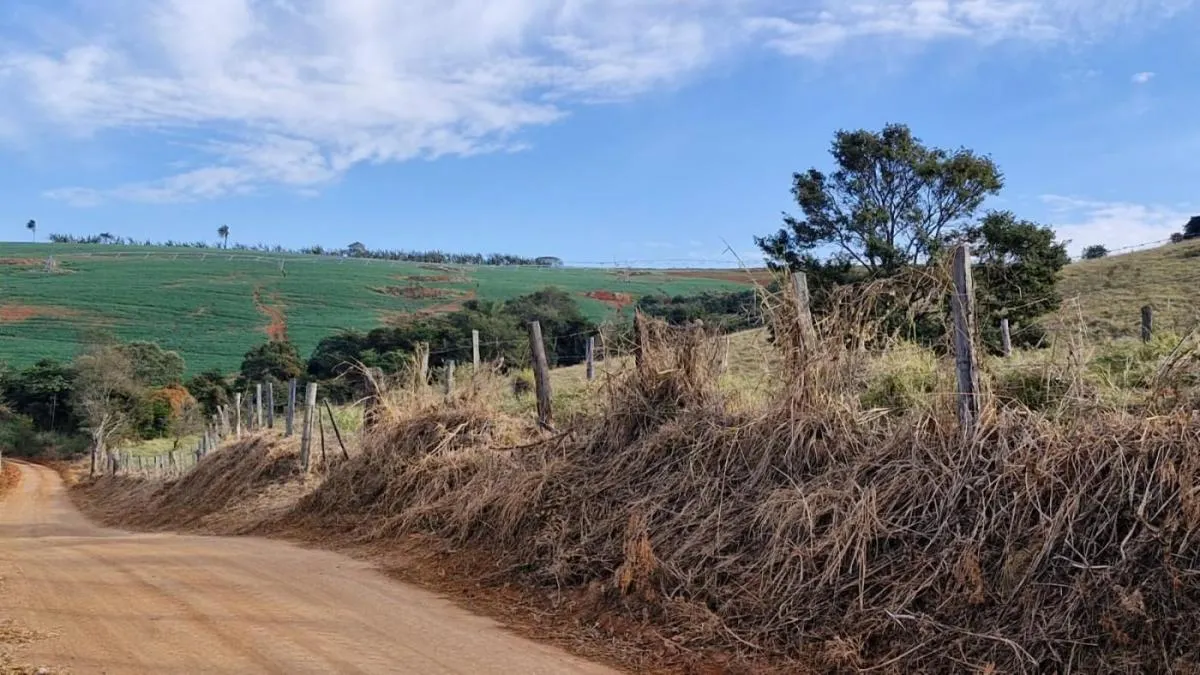 Fazenda à venda de 206 ha em Divinolândia, SP, Brasil