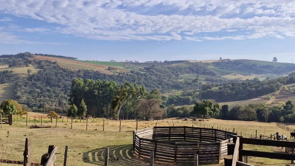 Fazenda à venda de 206 ha em Divinolândia, SP, Brasil