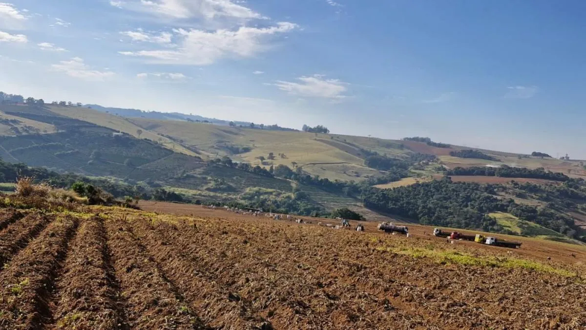 Fazenda à venda de 206 ha em Divinolândia, SP, Brasil