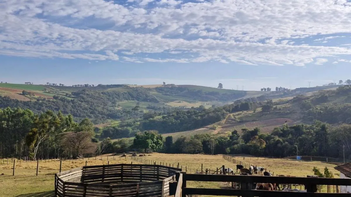 Fazenda à venda de 206 ha em Divinolândia, SP, Brasil