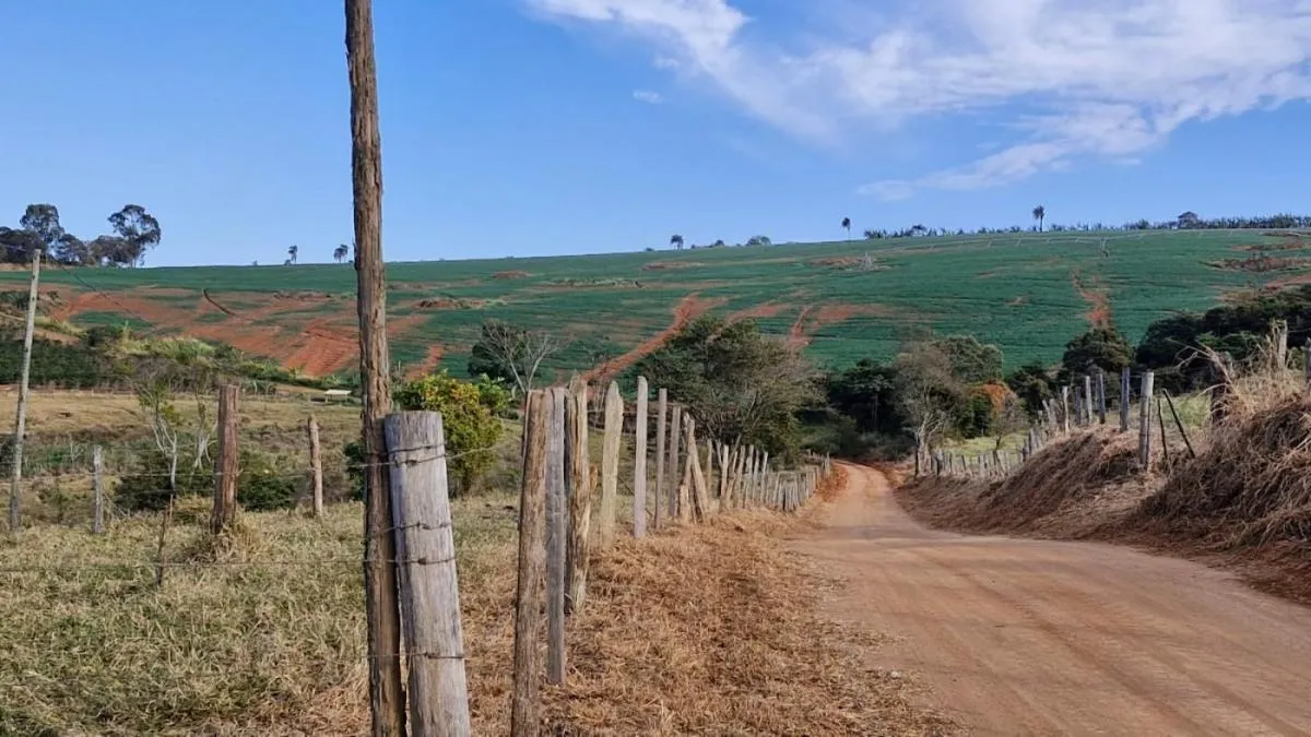 Fazenda à venda de 206 ha em Divinolândia, SP, Brasil