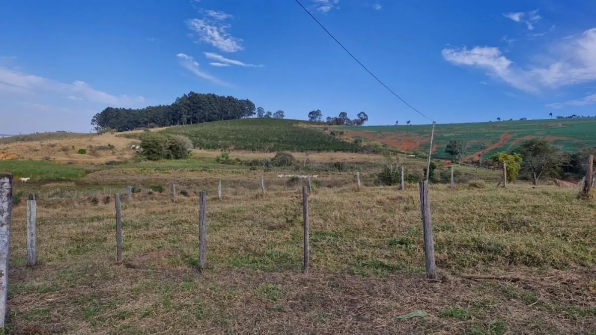 Fazenda à venda de 206 ha em Divinolândia, SP, Brasil