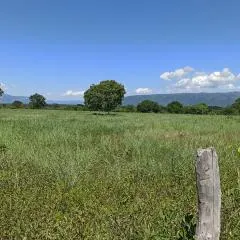 Fazenda à venda de 1.050 ha em Formosa, GO, Brasil