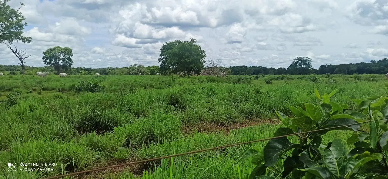 Fazenda à venda de 1.050 ha em Formosa, GO, Brasil