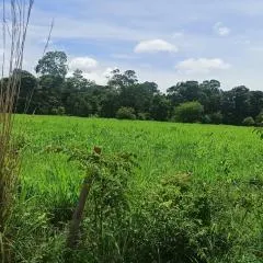 Fazenda à venda de 1.050 ha em Formosa, GO, Brasil
