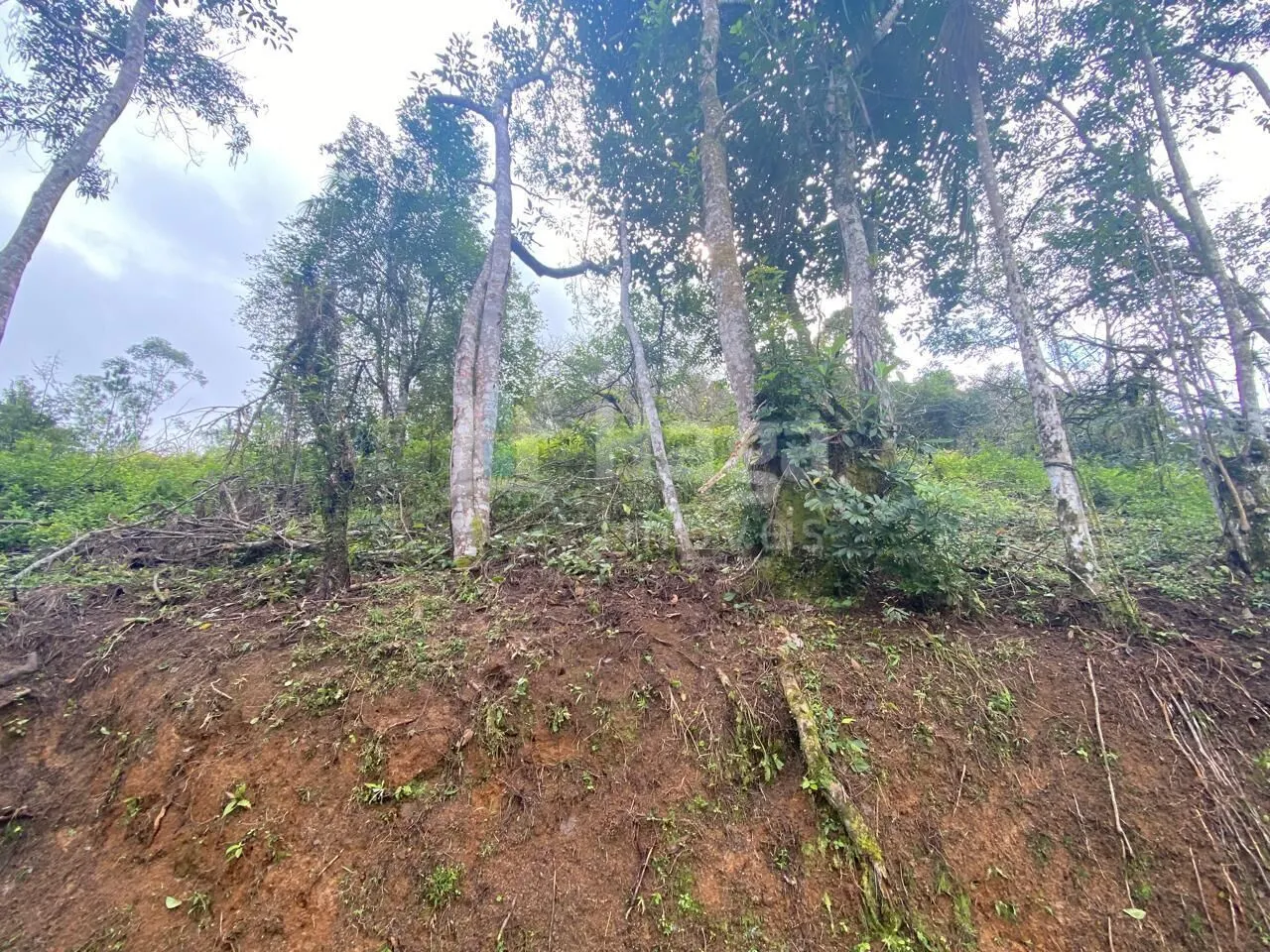 Terreno à venda de 7 ha em Nova Trento, SC, Brasil
