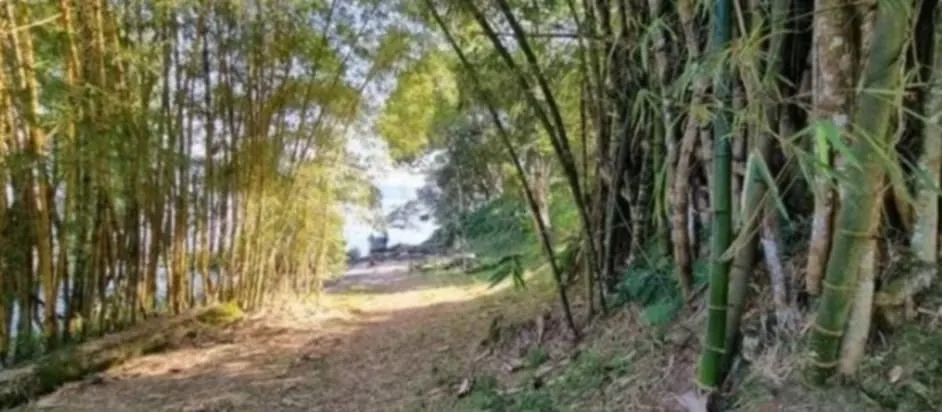 Ilha à venda e em leilão de 3.395 m² em Antonina, PR, Brasil