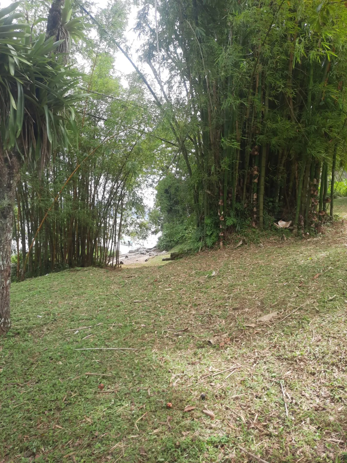 Ilha à venda e em leilão de 3.395 m² em Antonina, PR, Brasil