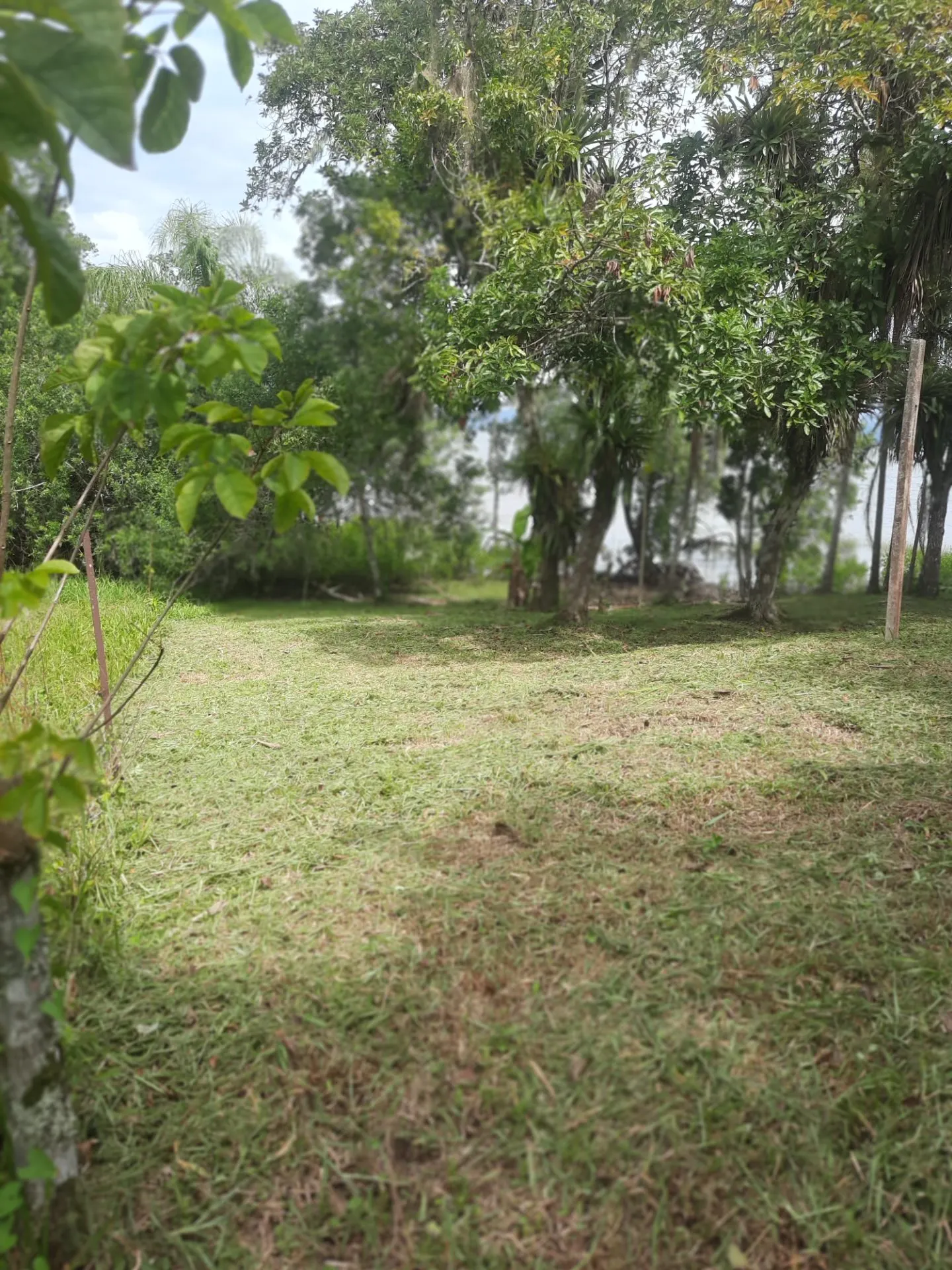 Ilha à venda e em leilão de 3.395 m² em Antonina, PR, Brasil