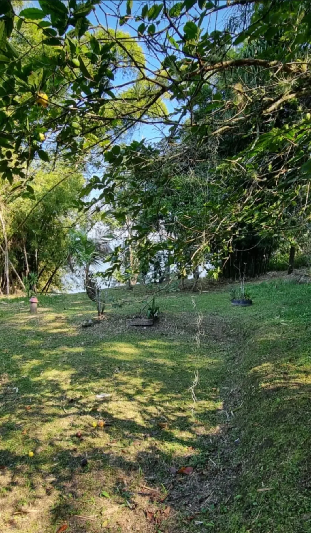 Ilha à venda e em leilão de 3.395 m² em Antonina, PR, Brasil