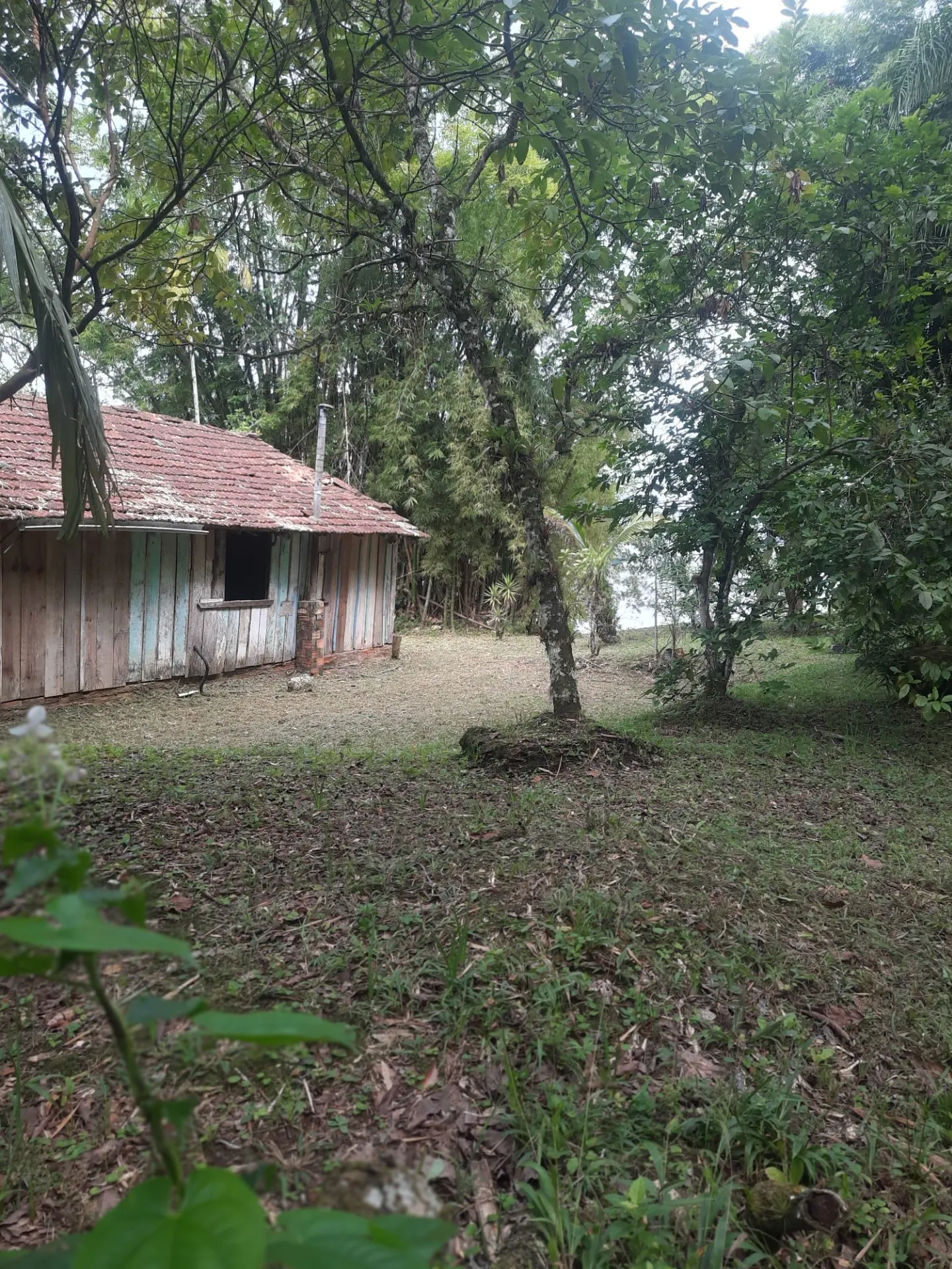 Ilha à venda e em leilão de 3.395 m² em Antonina, PR, Brasil