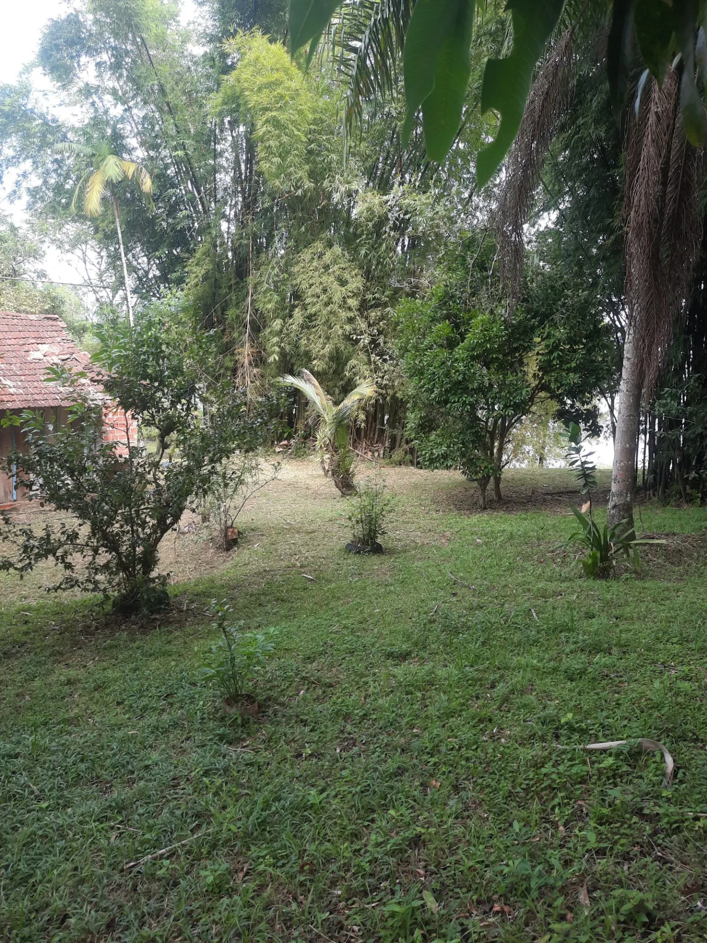 Ilha à venda e em leilão de 3.395 m² em Antonina, PR, Brasil