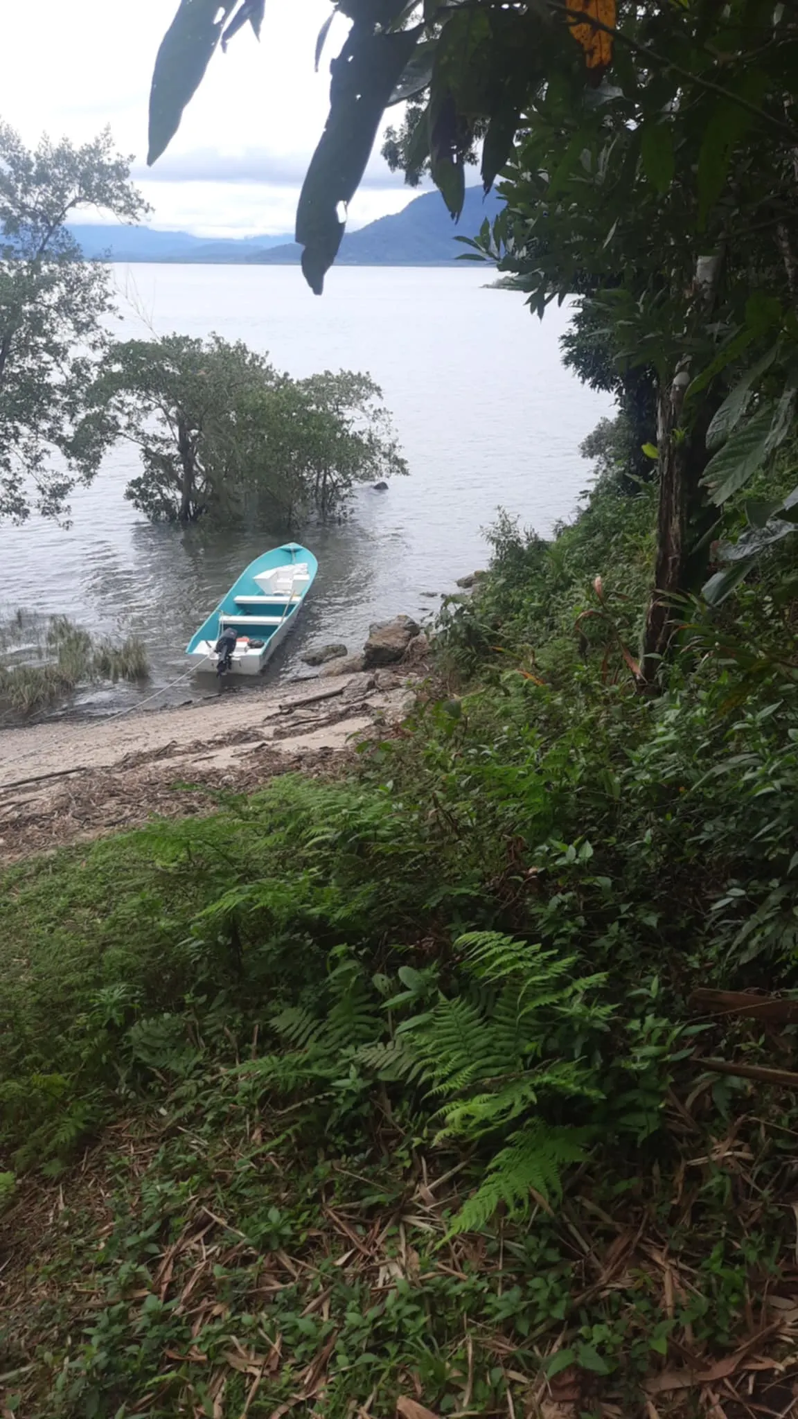Ilha à venda e em leilão de 3.395 m² em Antonina, PR, Brasil