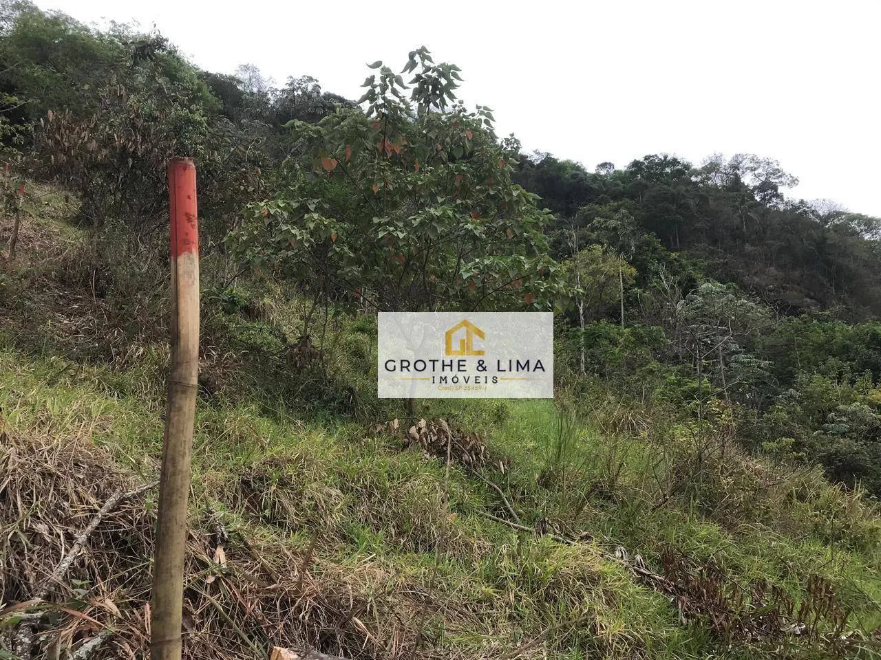 Plot for sale of 5 acres in Pindamonhangaba, SP, Brazil