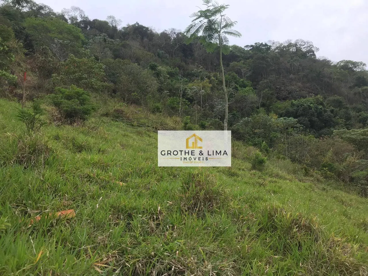 Plot for sale of 5 acres in Pindamonhangaba, SP, Brazil