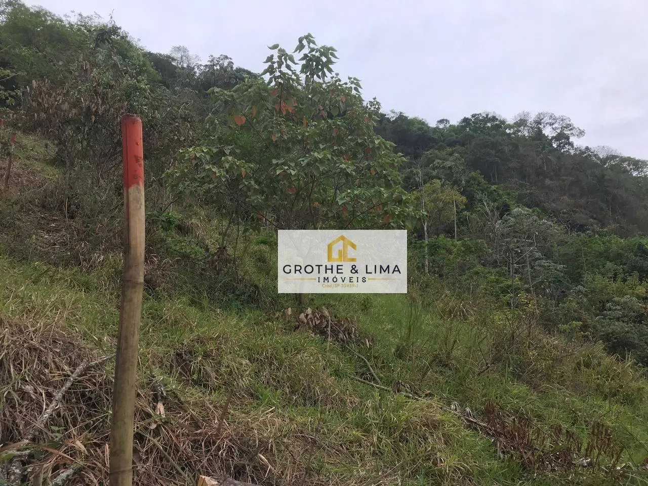Plot for sale of 5 acres in Pindamonhangaba, SP, Brazil