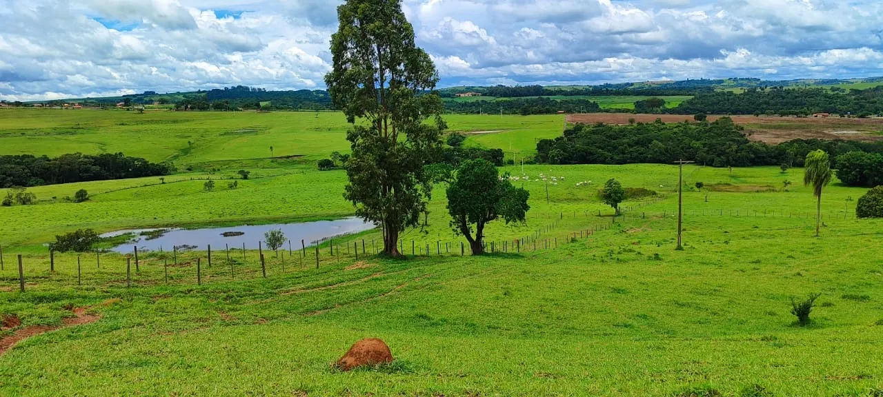 Fazenda à venda de 30 ha em Itapetininga, SP, Brasil