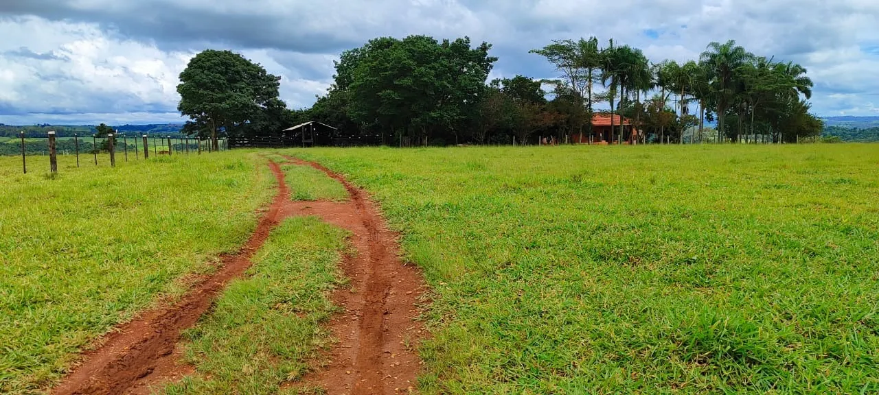 Fazenda à venda de 30 ha em Itapetininga, SP, Brasil