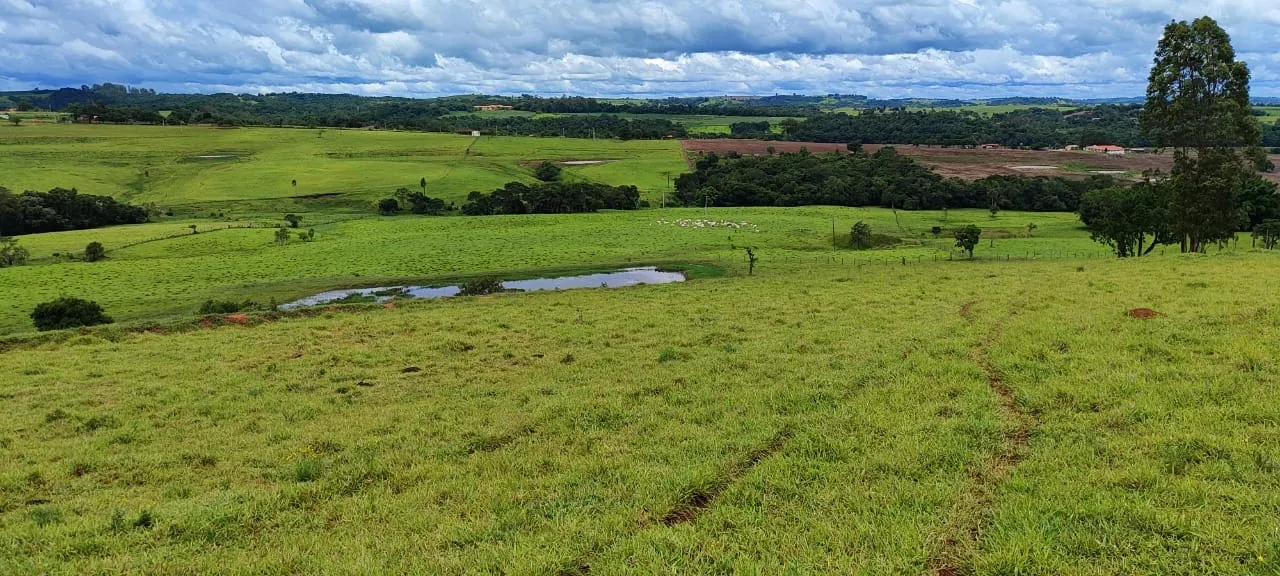 Fazenda à venda de 30 ha em Itapetininga, SP, Brasil