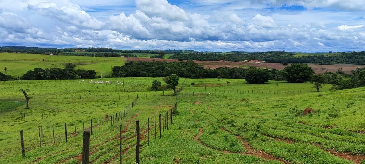 Fazenda à venda de 30 ha em Itapetininga, SP, Brasil